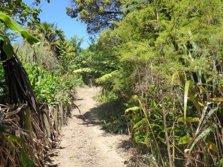 11 Punga Grove Avenue Riverside_2