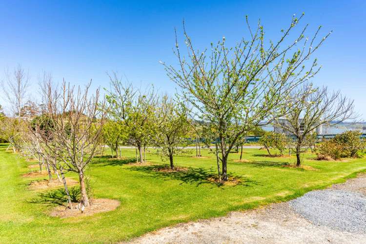 264d Pahi Road Paparoa_28