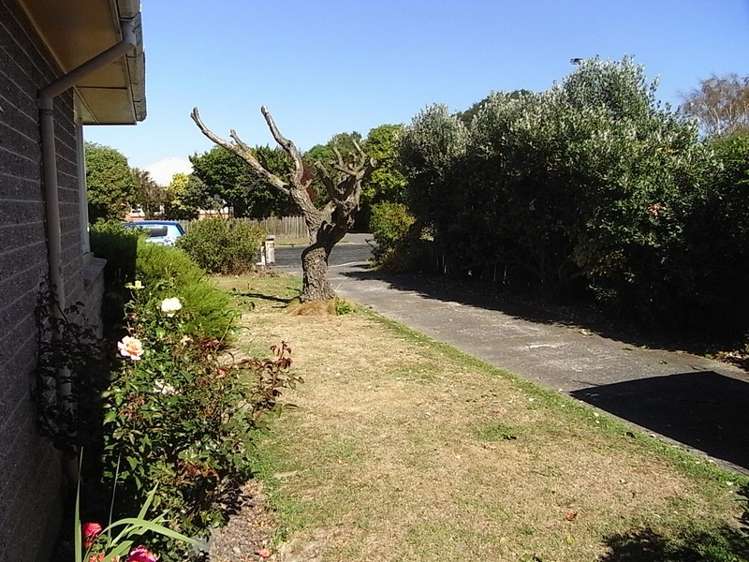 60 Colman Avenue Sockburn_9