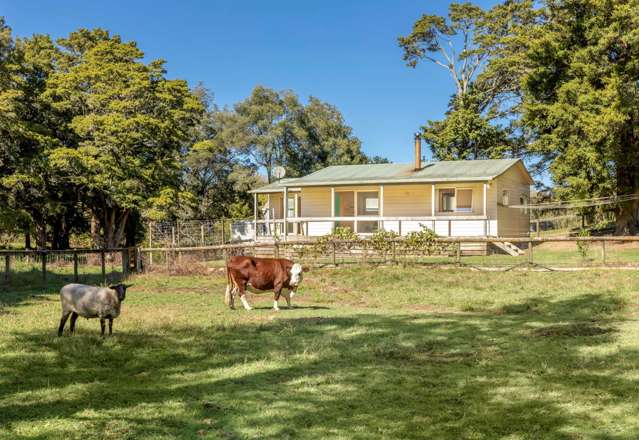 145b Helenslee Road Pokeno_3