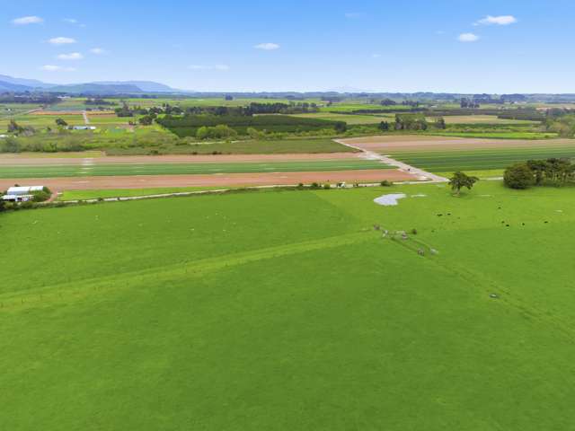 81 Muhunoa West Road Ohau_2