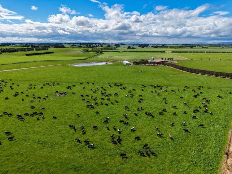 296 Oporo Flat Road Oporo_18