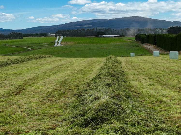 160 Blackwater Road Ermedale_6