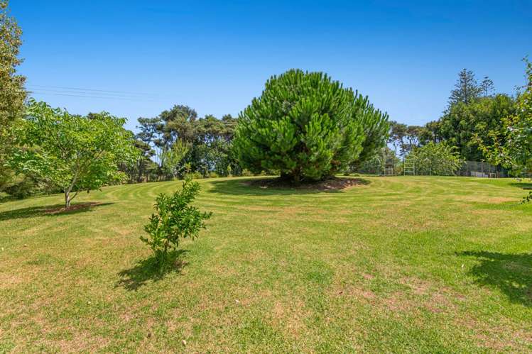 786 South Head Road South Head_8