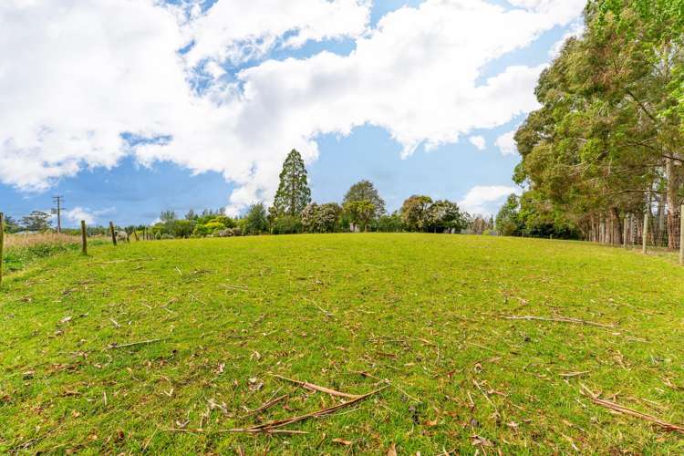 263 Downs Road Geraldine Downs_24