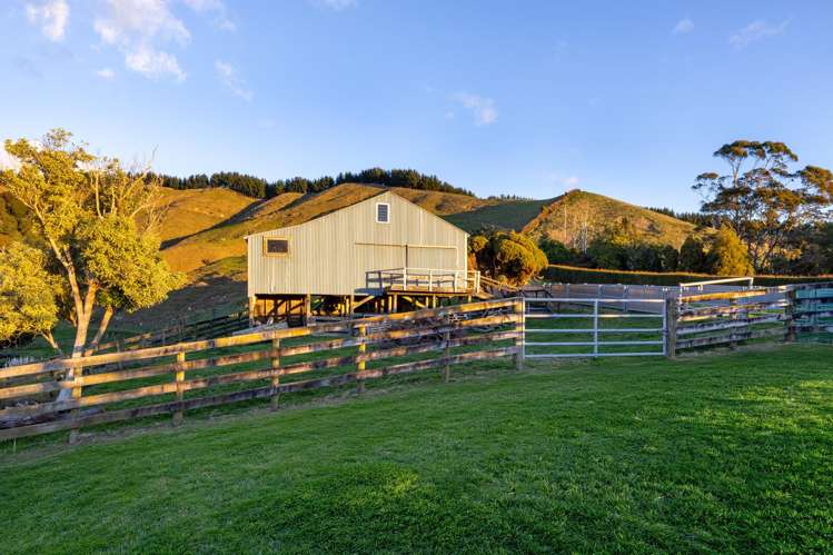363 Grice Road Rotoorangi_21