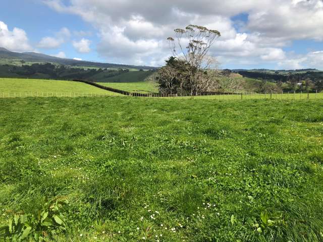 88 Strong Road Te Pahu_1