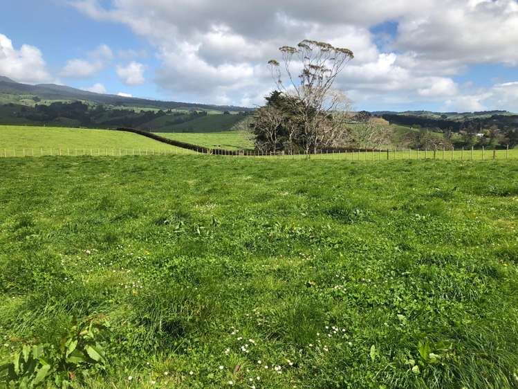 88 Strong Road Te Pahu_1