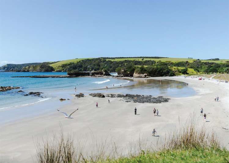 Lot 609 Warkworth Ridge Warkworth_13