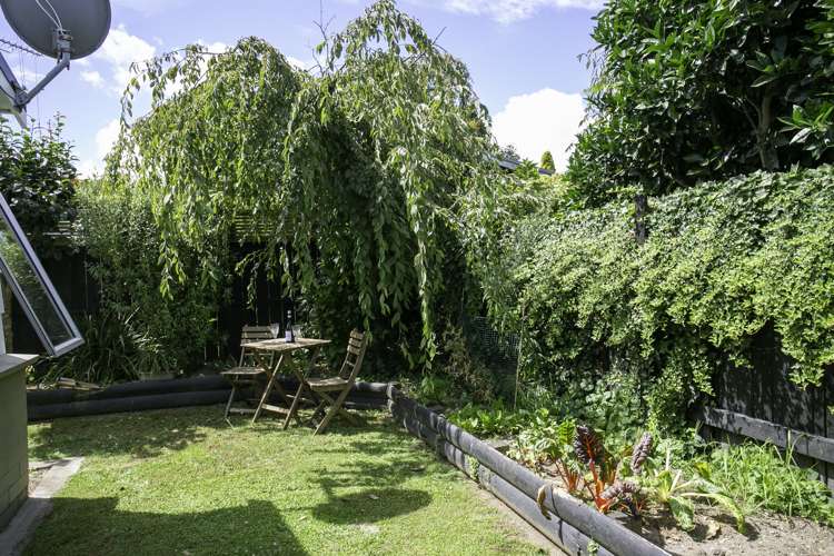 50b Williams Street Cambridge_15