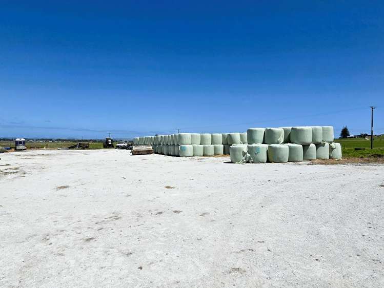 77 Molloy Road Ruawai_12