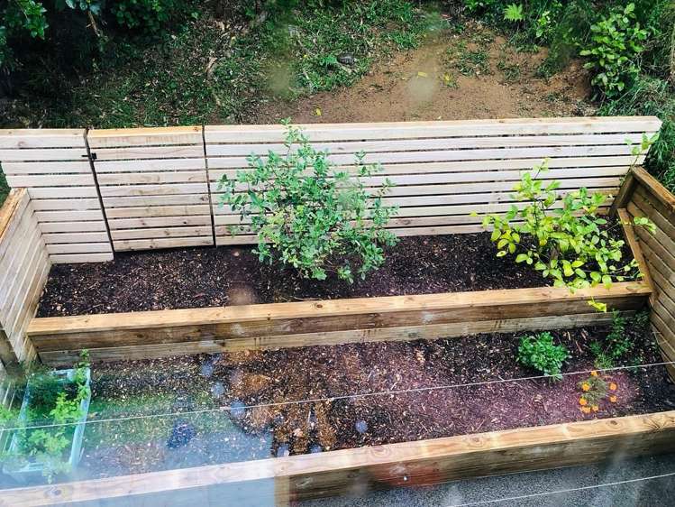 49 Saddleback Grove Karori_13