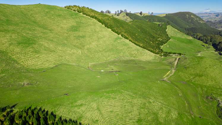 Coates Road Waikite Valley_7