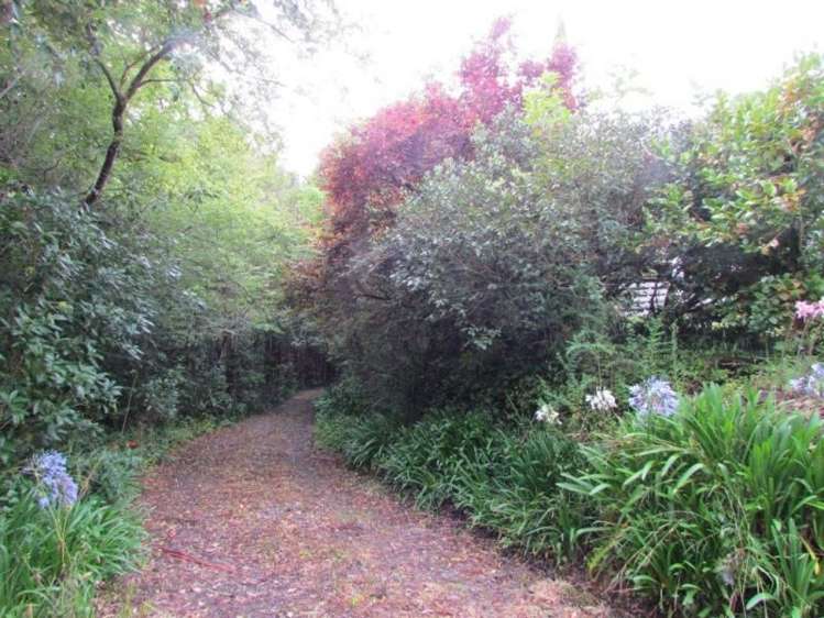 361 Bute Road Mangapakeha_19