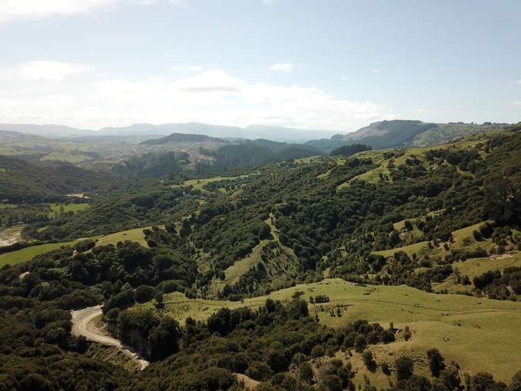 1050 Ellis Wallace Road Eskdale_10