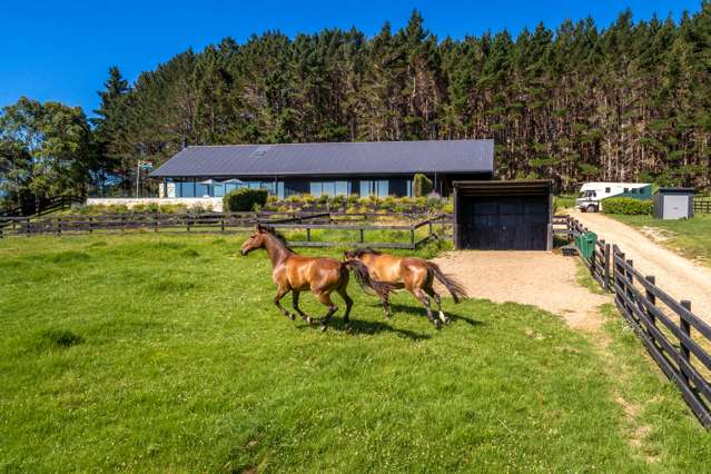 117a Onetangi Road Waiheke Island_3