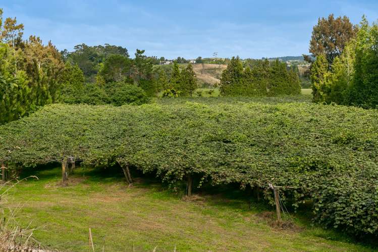 299 Lockington Road Aongatete_12