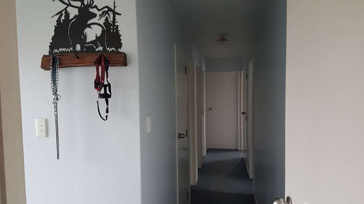 15 Fraser-Collin Crescent Dannevirke_7