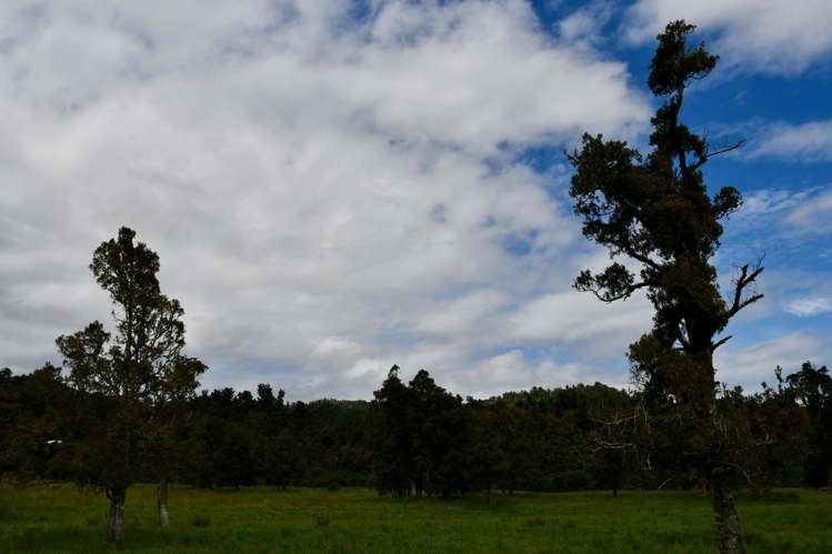 3279 Karamea HWY Glasseye Road Blocks Little Wanganui_19