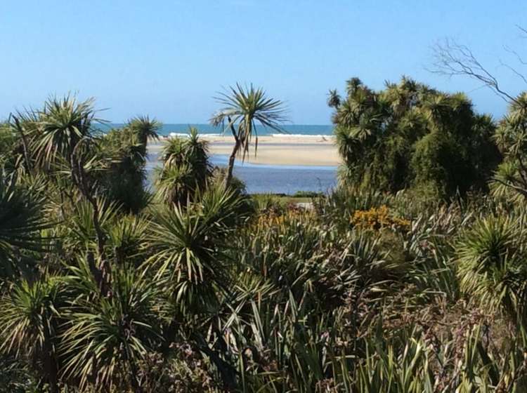 1342 Coast Road Toko Mouth_23