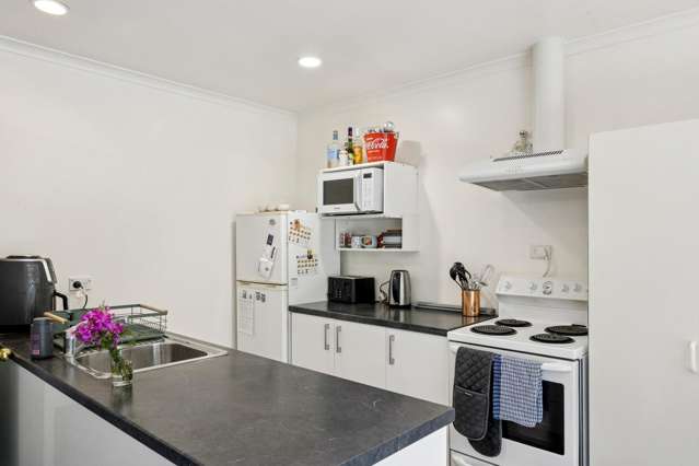 10B Cosy Dell Road North Dunedin_3