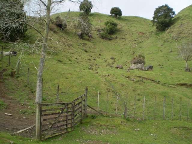 1926 Ongarue Stream Road Waimiha-Ongarue_3