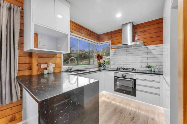 56 Palomino Drive Henderson_12