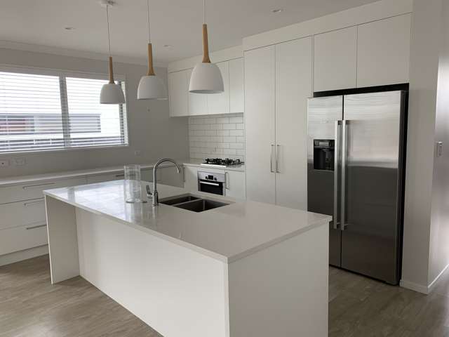 70 Constellation Avenue Beachlands_1