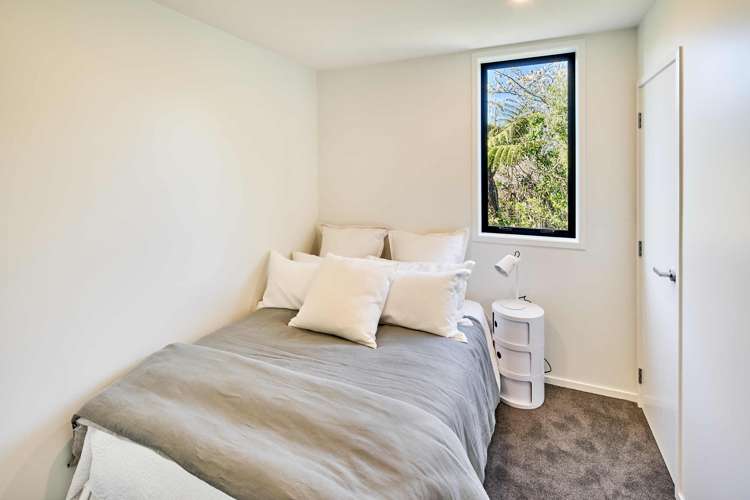 17 Ara Toutouwai Karori_10