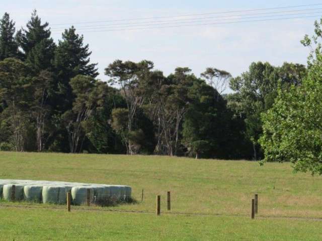 2406 Kakaramea Road Whatawhata_1