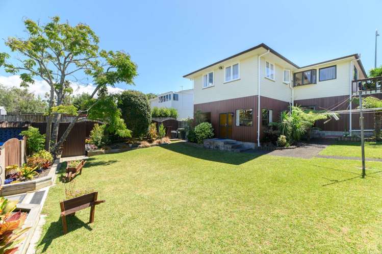 43 Tiverton Road Avondale_6