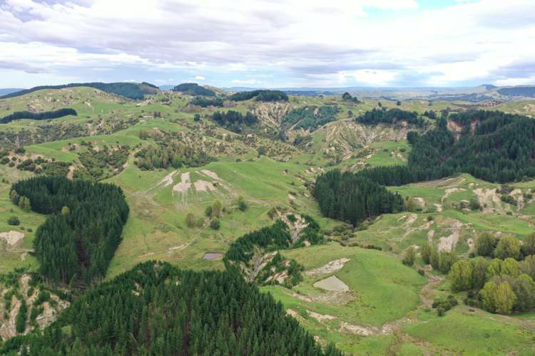 643 Glengarry Road Puketapu_6