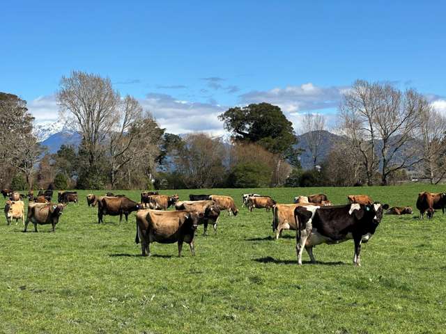 667 Kaniere-Kowhitirangi Road Kokatahi_4