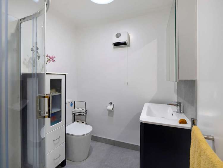 83 West Town Belt Rakaia_14