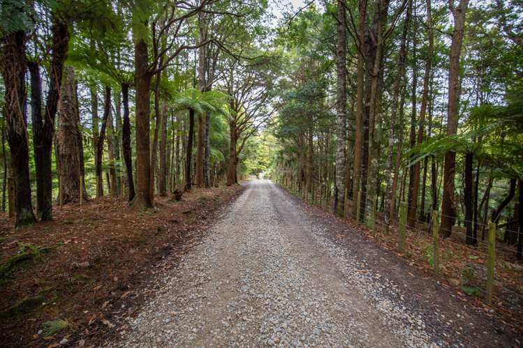 166 Waikaretu Valley Road Glen Murray_4