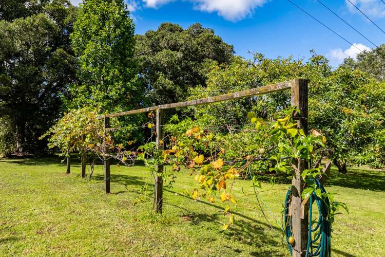 915 State Highway 14 Maungatapere_31