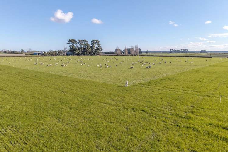 Cryers Road Southbridge_3