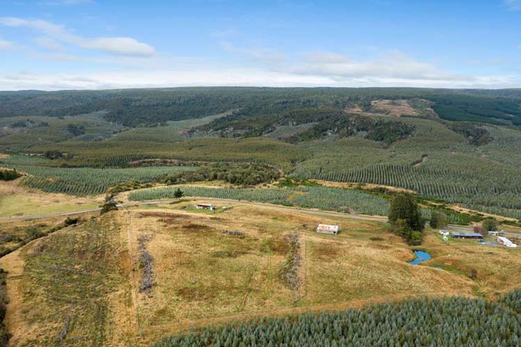 Tahakopa Valley Road Catlins Surrounds_5