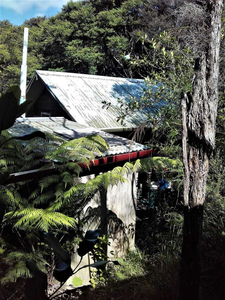 8b Harpoon Hill Great Barrier Island (Aotea Island)_2