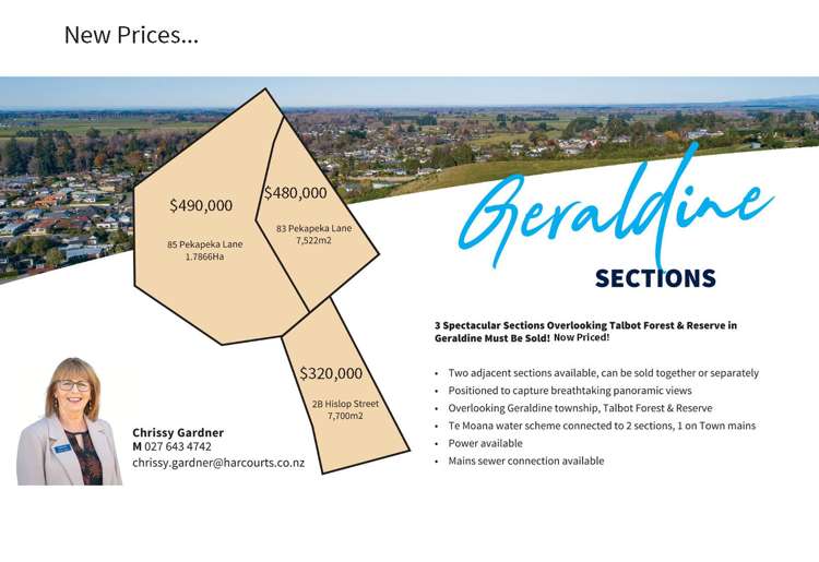 83 Pekapeka Lane Geraldine_8