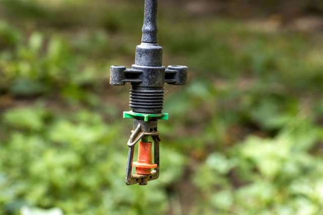 25 Crosby Lane Hauraki Surrounds_4