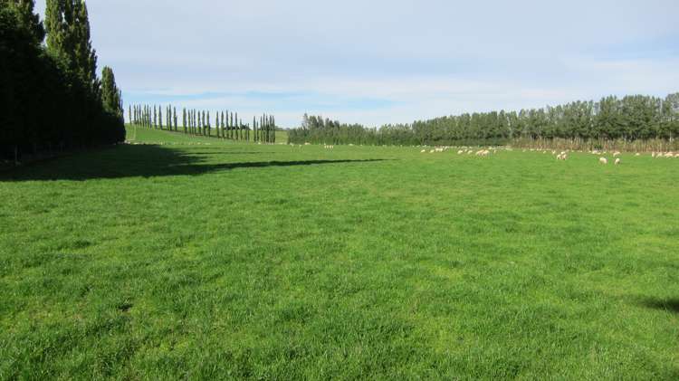 1010 Glenkenich Road Gore Surrounds_1