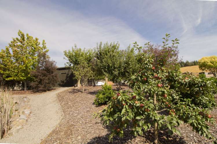 228 Golden Hills Road Appleby_16