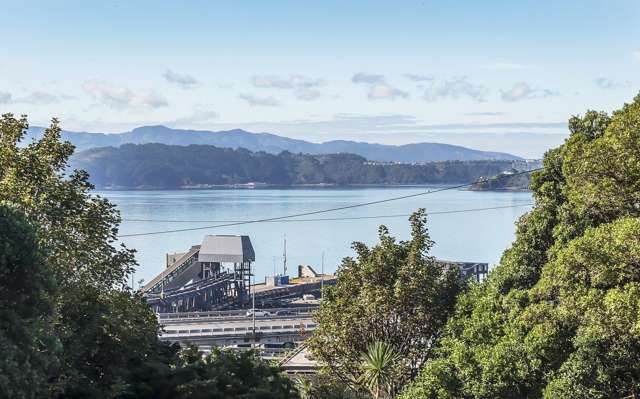 72A Sar Street Wadestown_1