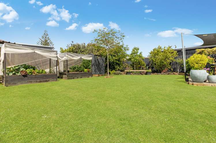 54 Collie Street Hillpark_21