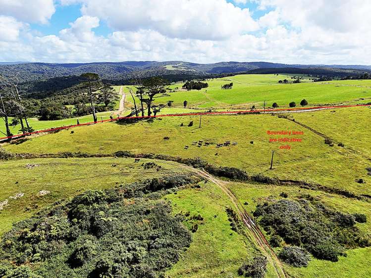 870 Marlborough Road Dargaville Surrounds_18