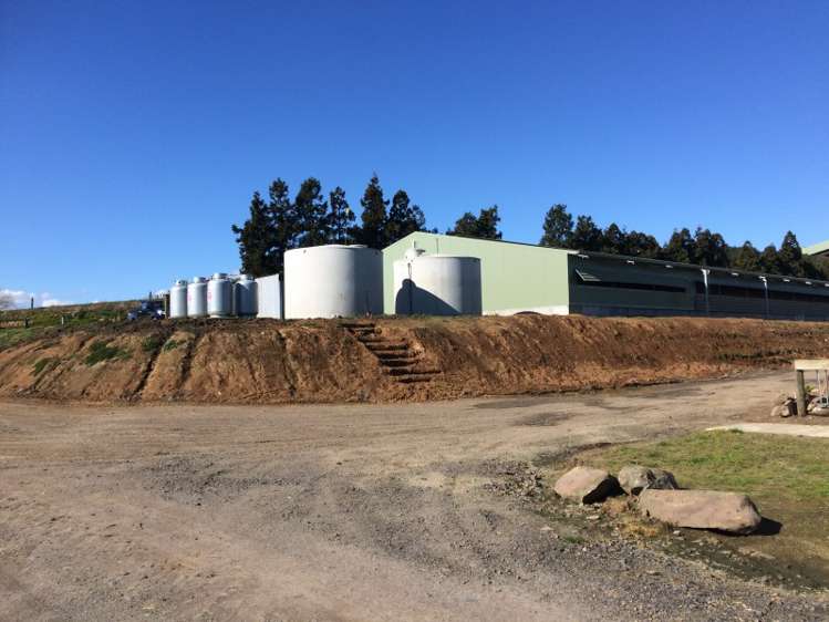 198 Harbottle Road Morrinsville_10