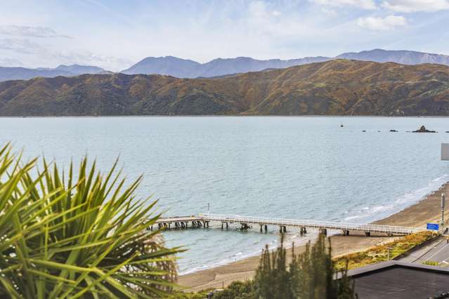 9 Sinclair Street Seatoun_2