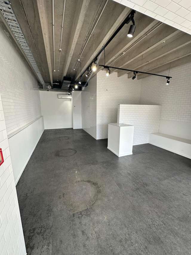 177 Parnell Road Parnell_1