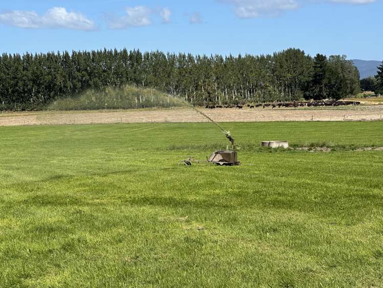 1147 Lumsden Dipton Highway Dipton_5